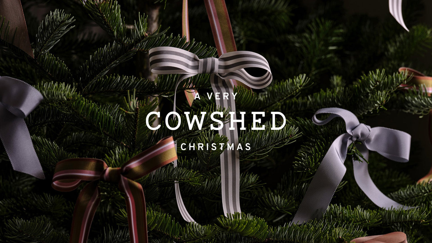 a very cowshed christmas