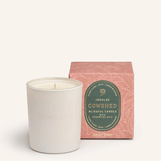 Limited Edition Indulge Votive